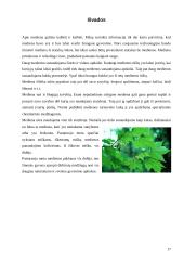 Medžiai. Medienos panaudojimas 17 puslapis