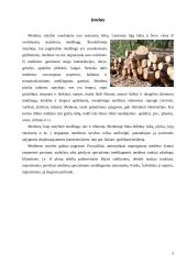 Medžiai. Medienos panaudojimas 3 puslapis