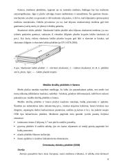 Medžiai. Medienos panaudojimas 8 puslapis