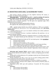 Valstybės mokesčių administravimas 10 puslapis