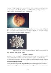 Narkotinių medžiagų poveikis organizmui 11 puslapis