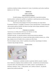 Narkotinių medžiagų poveikis organizmui 12 puslapis