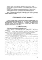 Naujosios Sąjungos politikos nuostatos 11 puslapis