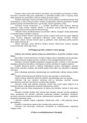 Naujosios Sąjungos politikos nuostatos 16 puslapis