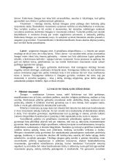 Naujosios Sąjungos politikos nuostatos 4 puslapis