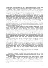 Naujosios Sąjungos politikos nuostatos 8 puslapis