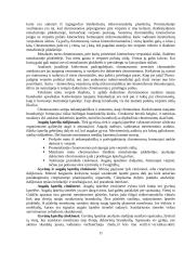 Nelytinis ir lytinis dauginimasis 14 puslapis