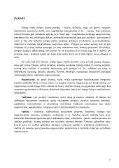Organizacijos 2 puslapis