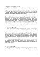 Organizacijos 3 puslapis