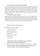 Organizacijos 7 puslapis