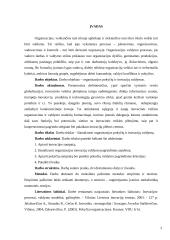 Organizacijos pokyčiai ir inovacijų valdymas 3 puslapis