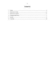 Paauglių bendravimo kultūros aspektai 2 puslapis