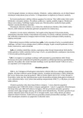 Periodinė cheminių elementų lentelė 7 puslapis