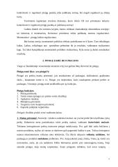 Pinigų pasiūlos kontrolės priemonės ir jų efektyvumas 5 puslapis