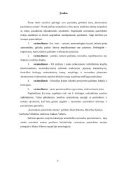 Racionalaus pasirinkimo teorija 2 puslapis