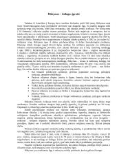 Rūkymas - žalingas įprotis 2 puslapis