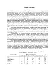 Rūkymas - žalingas įprotis 6 puslapis