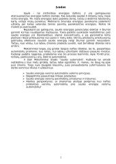 Saulės energija varomi automobiliai 2 puslapis