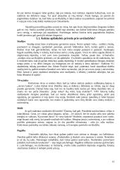 Savižudybės prevencija 12 puslapis