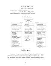 Siera. Azotas. Fosforas 13 puslapis