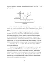 Siera. Azotas. Fosforas 14 puslapis
