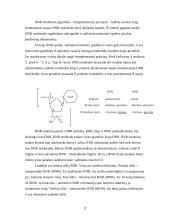 Siera. Azotas. Fosforas 17 puslapis