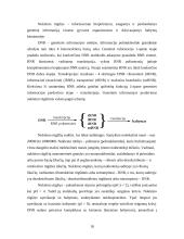 Siera. Azotas. Fosforas 18 puslapis