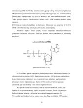 Siera. Azotas. Fosforas 19 puslapis
