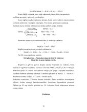 Siera. Azotas. Fosforas 10 puslapis