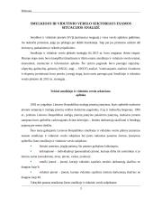 Smulkiojo ir vidutinio verslo sektoriaus esamos situacijos analizė 2 puslapis