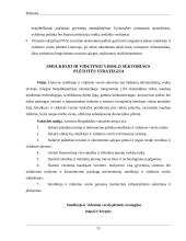 Smulkiojo ir vidutinio verslo sektoriaus esamos situacijos analizė 12 puslapis