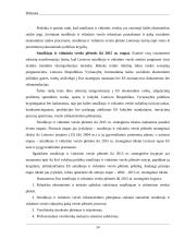 Smulkiojo ir vidutinio verslo sektoriaus esamos situacijos analizė 13 puslapis