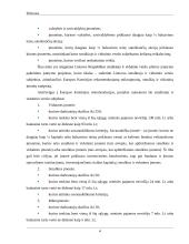 Smulkiojo ir vidutinio verslo sektoriaus esamos situacijos analizė 3 puslapis