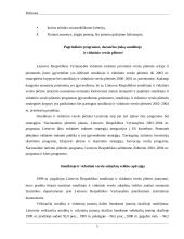 Smulkiojo ir vidutinio verslo sektoriaus esamos situacijos analizė 4 puslapis