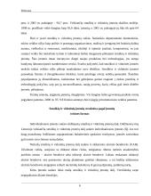 Smulkiojo ir vidutinio verslo sektoriaus esamos situacijos analizė 5 puslapis