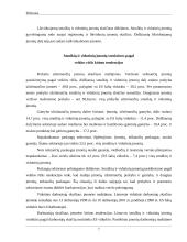 Smulkiojo ir vidutinio verslo sektoriaus esamos situacijos analizė 6 puslapis