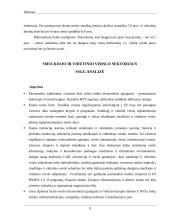 Smulkiojo ir vidutinio verslo sektoriaus esamos situacijos analizė 7 puslapis