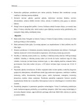 Smulkiojo ir vidutinio verslo sektoriaus esamos situacijos analizė 8 puslapis