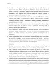 Smulkiojo ir vidutinio verslo sektoriaus esamos situacijos analizė 10 puslapis