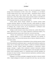 Socialinė rūpyba 2 puslapis