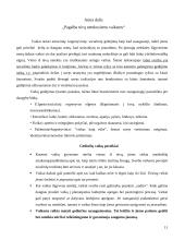 Socialinio pedagogo profesinis statusas ir vaidmuo socialinio konsultavimo procese 11 puslapis