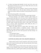 Socialinio pedagogo profesinis statusas ir vaidmuo socialinio konsultavimo procese 12 puslapis