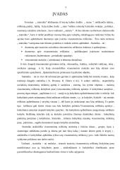 Statistinis stebėjimas: gyventojų išsimokslinimo lygis ir užimtumo galimybės 2 puslapis