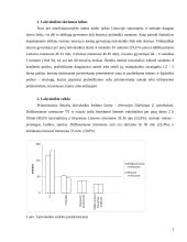 Statistinis tyrimas: laisvalaikio organizavimo problema 2 puslapis