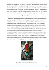 Šviesos šaltiniai 5 puslapis