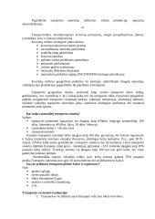 Transporto geografija - esmė, organizacijos, privalumai ir trūkumai 3 puslapis