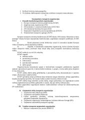 Transporto geografija - esmė, organizacijos, privalumai ir trūkumai 4 puslapis