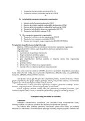 Transporto geografija - esmė, organizacijos, privalumai ir trūkumai 5 puslapis