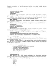 Transporto geografija - esmė, organizacijos, privalumai ir trūkumai 6 puslapis