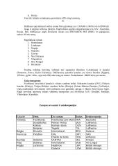 Transporto geografija - esmė, organizacijos, privalumai ir trūkumai 7 puslapis